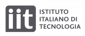 Logo IIT